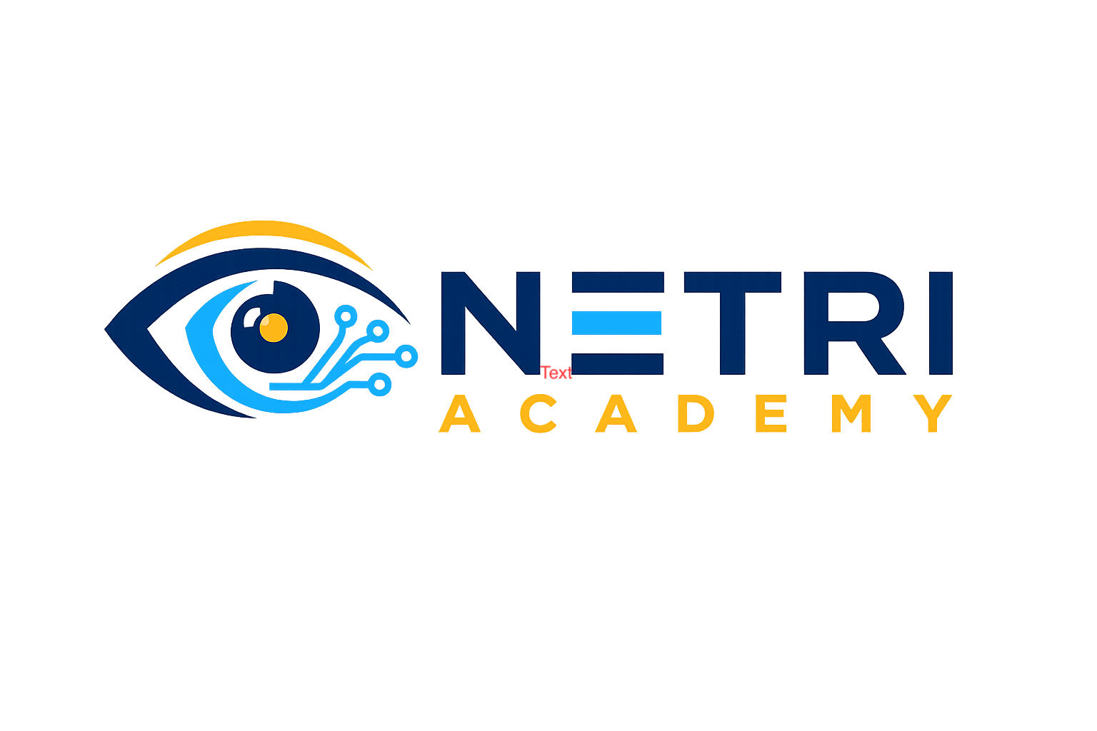 Netri Academy